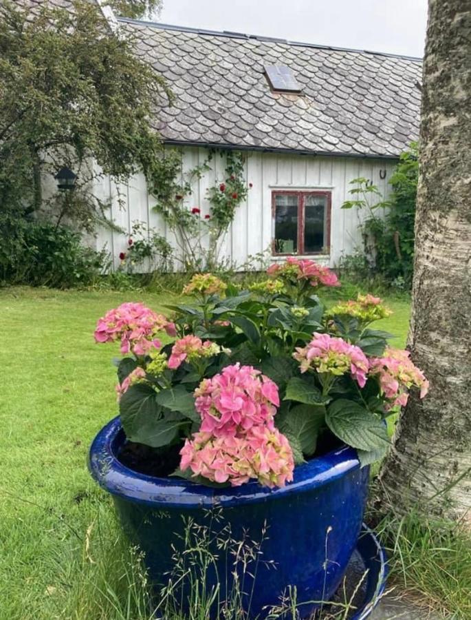 סטוונגר Shared Farmhouse מראה חיצוני תמונה